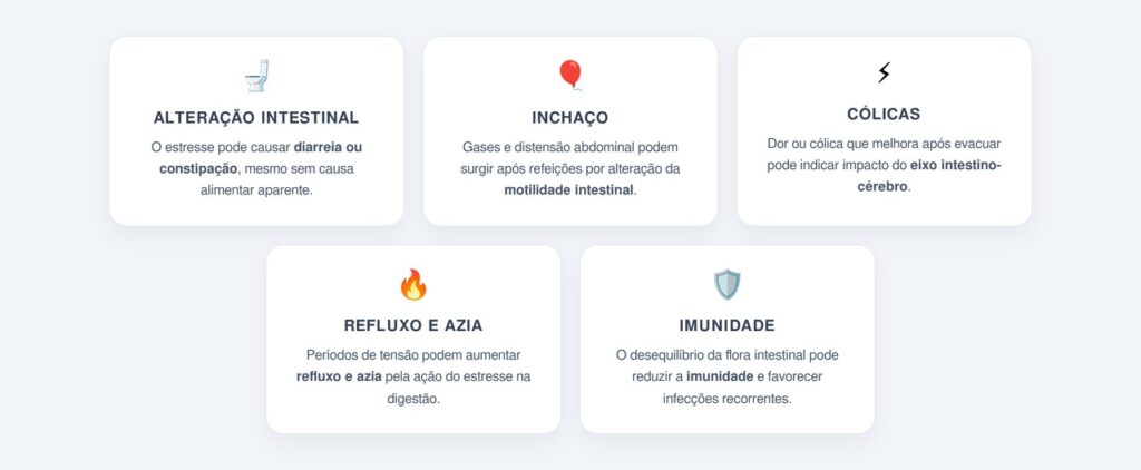 Como o estresse afeta o intestino?