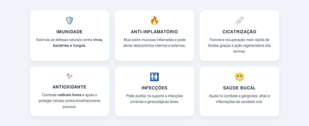 Quais os principais benefícios do barbatimão para o organismo?
