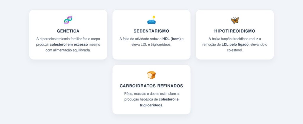 Quais são os 4 fatores ignorados que elevam o colesterol?