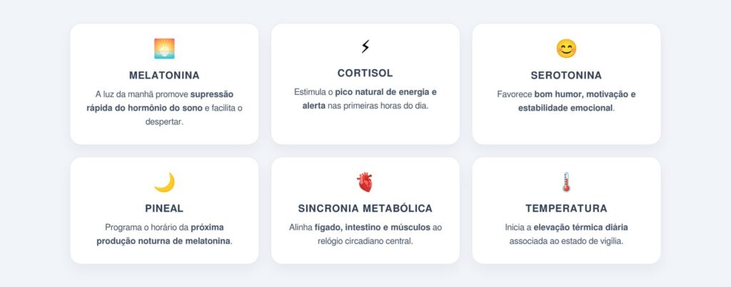 O que acontece no corpo ao receber luz matinal?