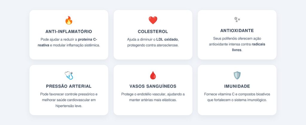Quais os principais benefícios da romã para a saúde?