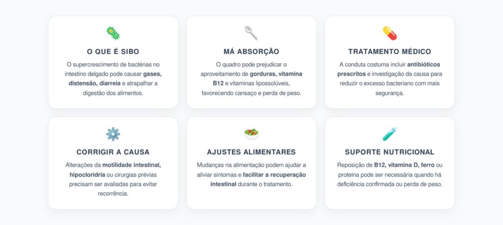 Como Tratar SIBO e Recuperar a Absorção de Nutrientes no Intestino