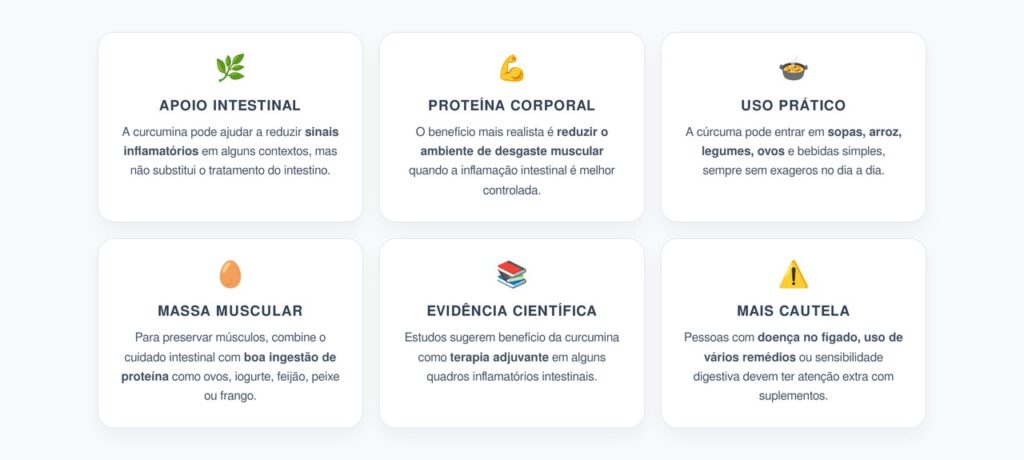 Como Usar a Cúrcuma no Intestino e Preservar a Massa Muscular no Curto Prazo