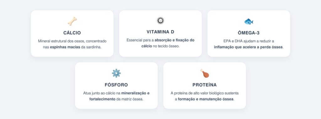 Quais nutrientes da sardinha protegem a massa óssea?