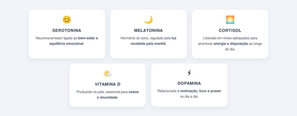 Quais hormônios são estimulados pela exposição solar?