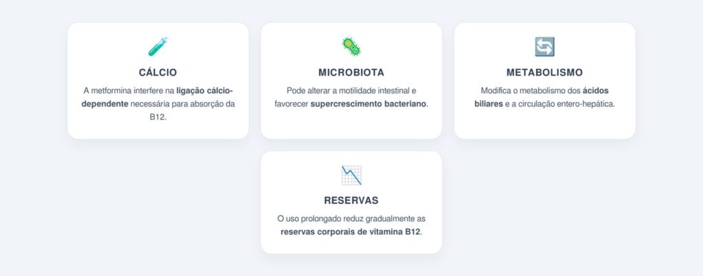 Como a metformina interfere nesse processo?