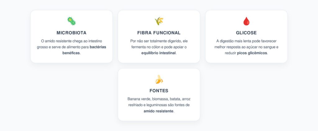 Amido Resistente, Microbiota e Glicose: Como Esse Carboidrato Pode Ajudar o Metabolismo