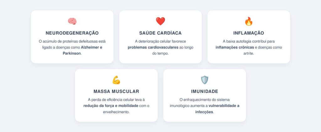 O que acontece quando a autofagia diminui com a idade?