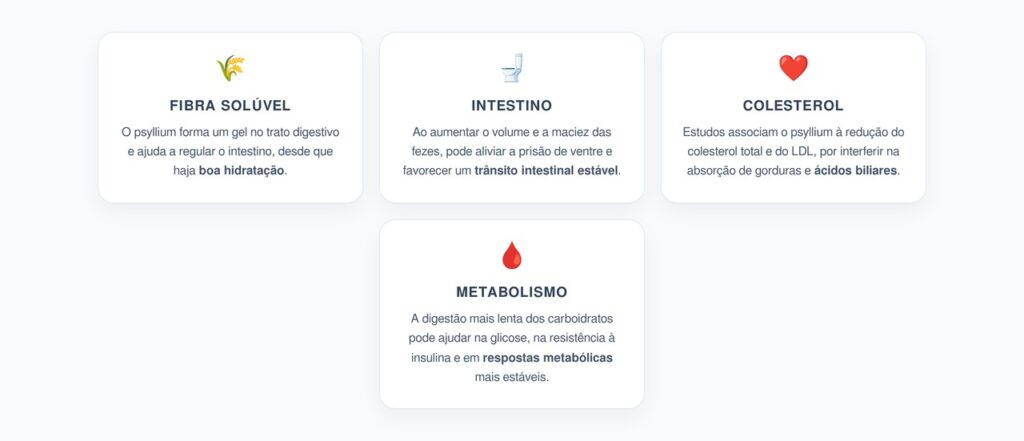 Psyllium, Intestino e Colesterol: Como Essa Fibra Pode Melhorar o Metabolismo