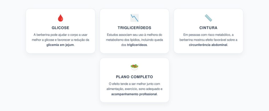 Berberina, Glicose e Gordura Abdominal: Como Ela Pode Atuar no Risco Metabólico