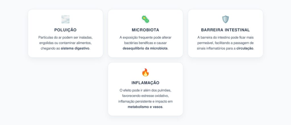 Poluição do Ar e Microbiota: Como Partículas Podem Inflamar o Corpo Além dos Pulmões