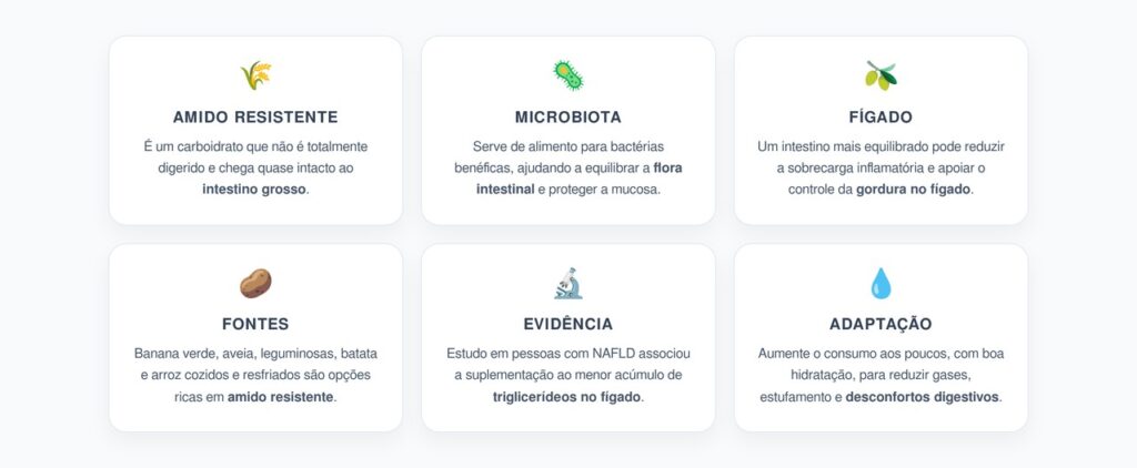 Amido Resistente: Como Ele Ajuda o Intestino e Pode Reduzir a Gordura no Fígado