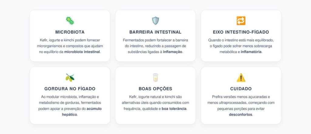 Fermentados e Fígado: Como Kefir, Iogurte e Kimchi Atuam no Eixo Intestino-Fígado
