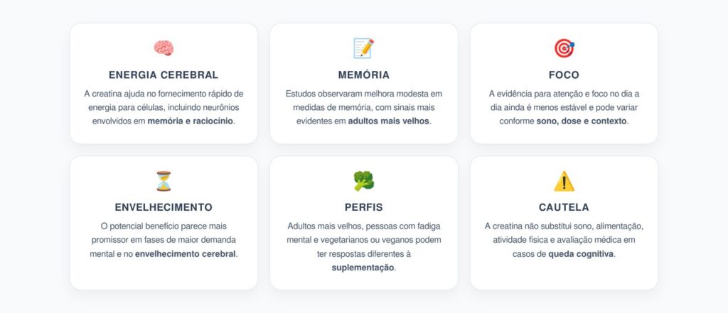 Creatina e Cérebro: O Que a Ciência Revela Sobre Memória, Foco e Envelhecimento
