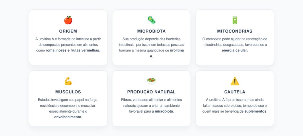 Urolitina A: O Composto Intestinal Ligado à Saúde Muscular e ao Envelhecimento Celular