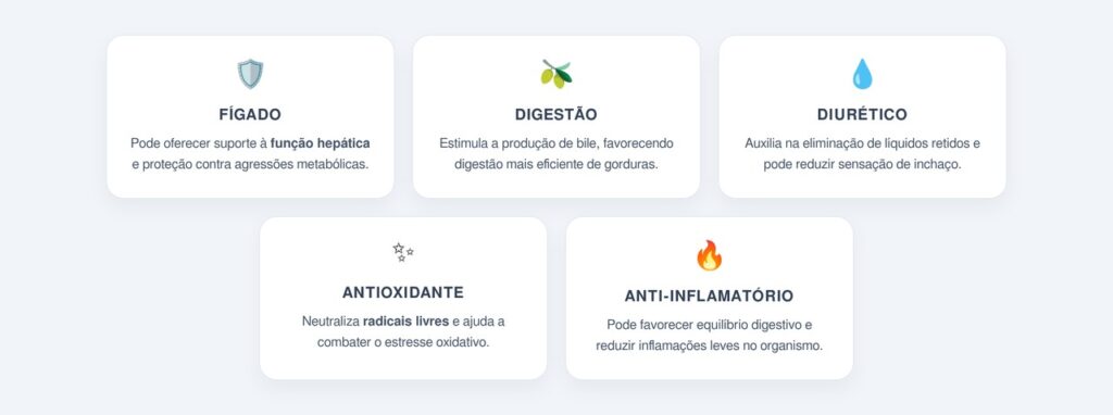 Quais são os principais benefícios para o organismo?