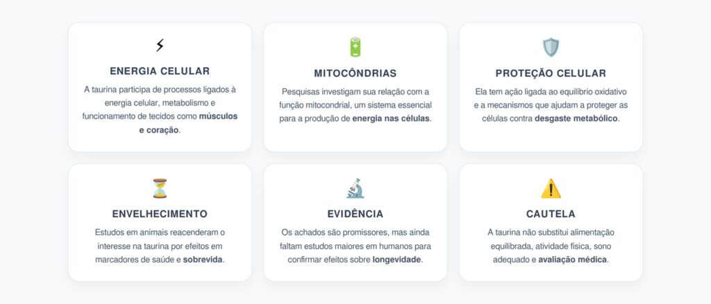 Taurina e Envelhecimento: O Aminoácido Ligado à Energia Celular e Longevidade