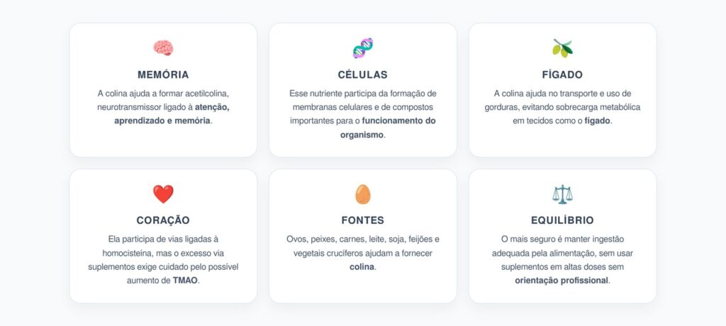 Colina: O Nutriente Ligado à Memória, Metabolismo, Fígado e Coração