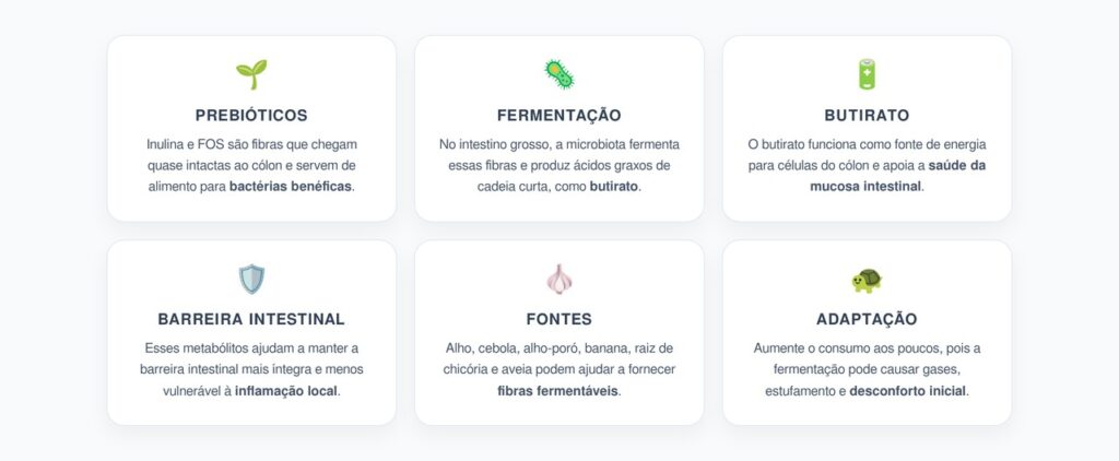 Inulina e FOS: Como Fibras Prebióticas Produzem Butirato no Intestino