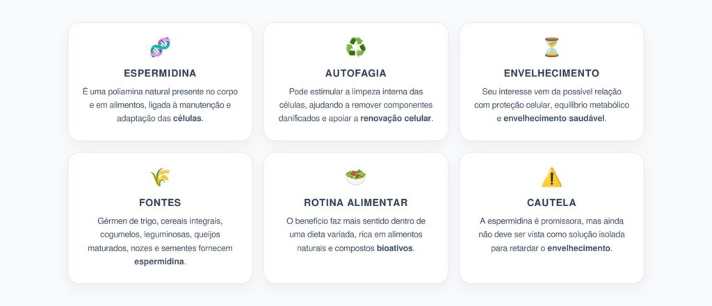Espermidina nos Alimentos: Como Ela Ativa a Autofagia e Apoia o Envelhecimento Saudável