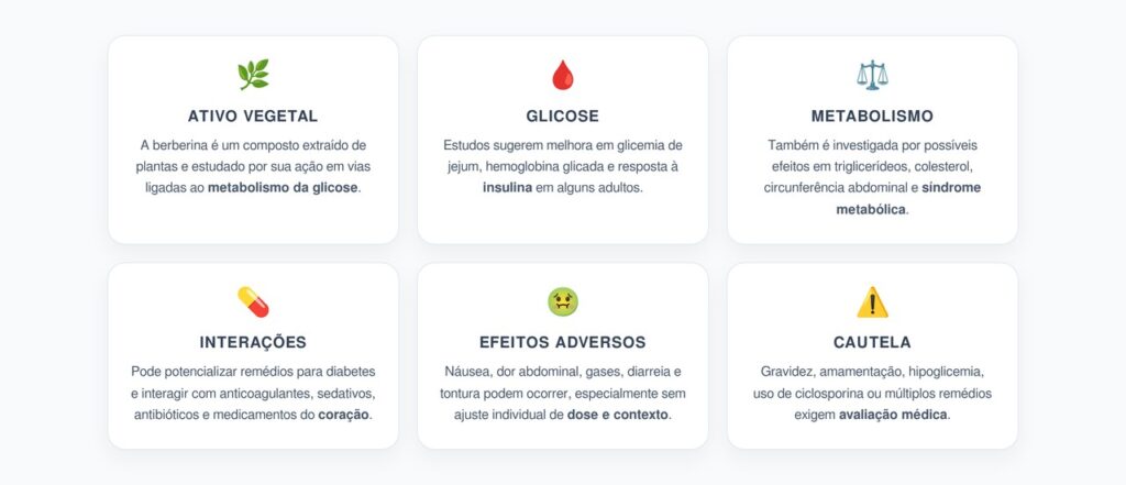 Berberina e Glicose: O Suplemento Metabólico Que Exige Atenção Antes do Uso