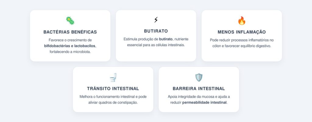 Quais são os benefícios para a microbiota?