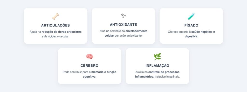 Quais são os benefícios da cúrcuma para o organismo?
