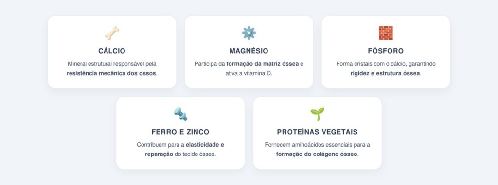 Quais minerais do feijão fortalecem o tecido ósseo?