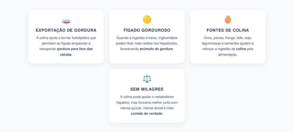 Colina e Fígado Gorduroso: Nutriente-Chave para o Metabolismo Hepático