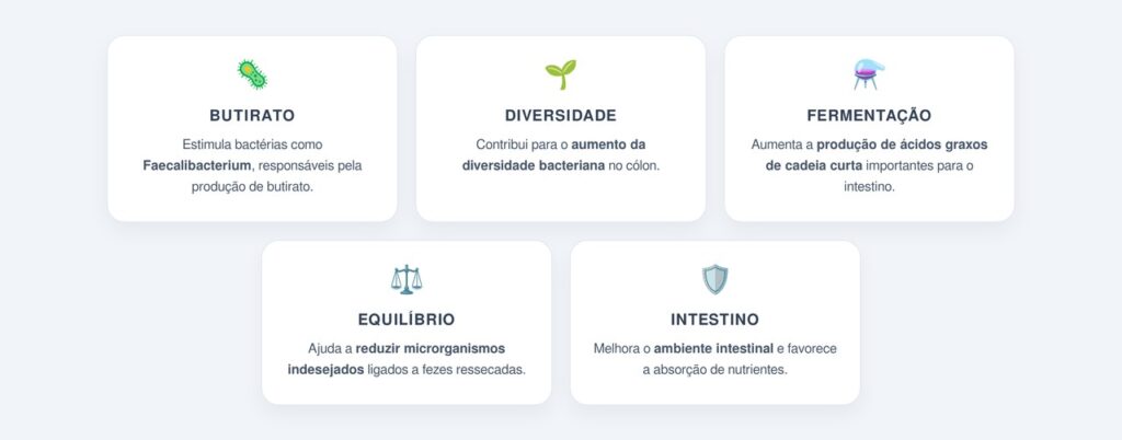 Como ele nutre as bactérias boas do intestino?