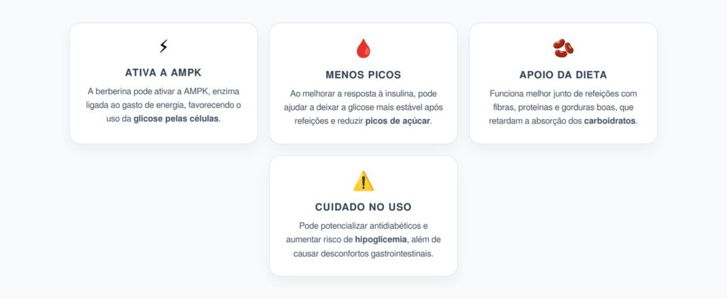 Berberina Para Glicose Alta: Menos Picos de Açúcar e Melhor Metabolismo