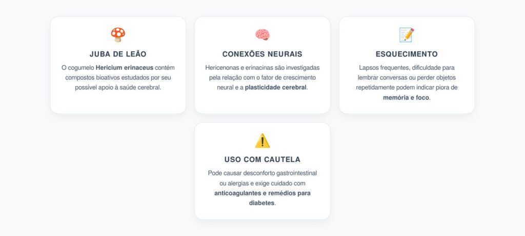 Juba de Leão Para Memória: Conexões Neurais, Foco e Clareza Mental