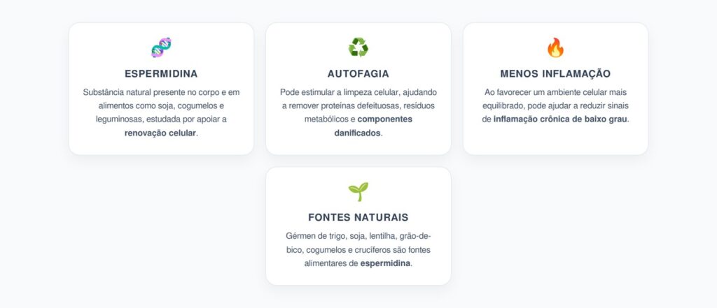 Espermidina e Envelhecimento: Autofagia Celular e Menos Inflamação