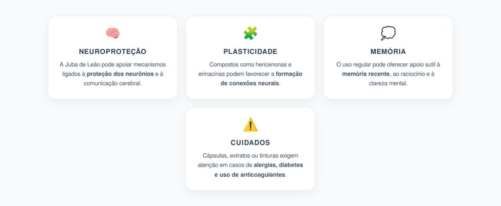 Juba de Leão e Memória: Como o Cogumelo Pode Apoiar o Cérebro com o Envelhecimento