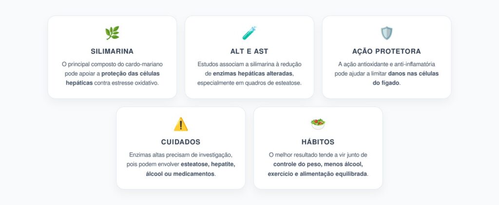 Cardo-Mariano no Fígado: Como a Silimarina Pode Ajudar a Reduzir ALT e AST