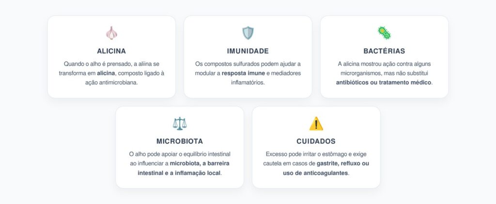 Alho Cru Prensado: Alicina, Imunidade e Equilíbrio das Bactérias Intestinais