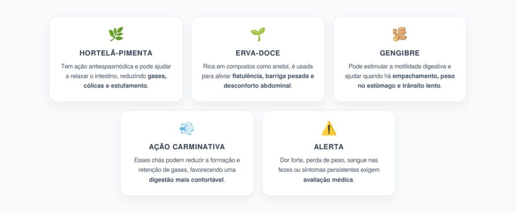 Chás Digestivos para Inchaço: 3 Opções Carminativas para Acalmar o Intestino