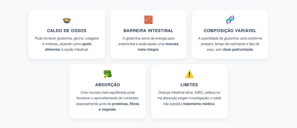 Caldo de Ossos e Intestino Permeável: Glutamina, Barreira Intestinal e Absorção de Nutrientes