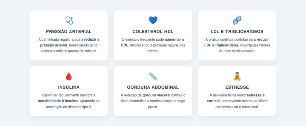 Quais são os benefícios cardiovasculares da caminhada?