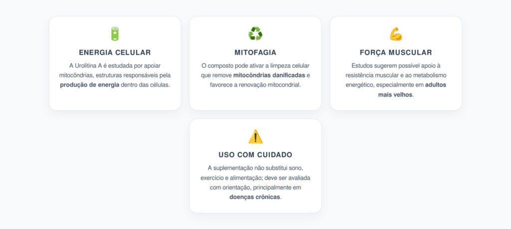 Urolitina A e Mitocôndrias: Como a Mitofagia Pode Frear o Envelhecimento Celular