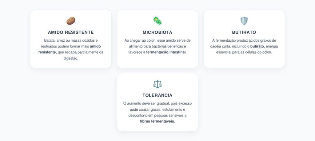 Amido Resistente Frio: Como Ele Aumenta o Butirato e Alimenta o Intestino