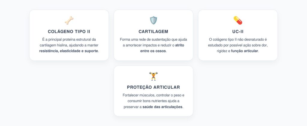 Colágeno Tipo II: O Essencial para Cartilagens Articulares Saudáveis