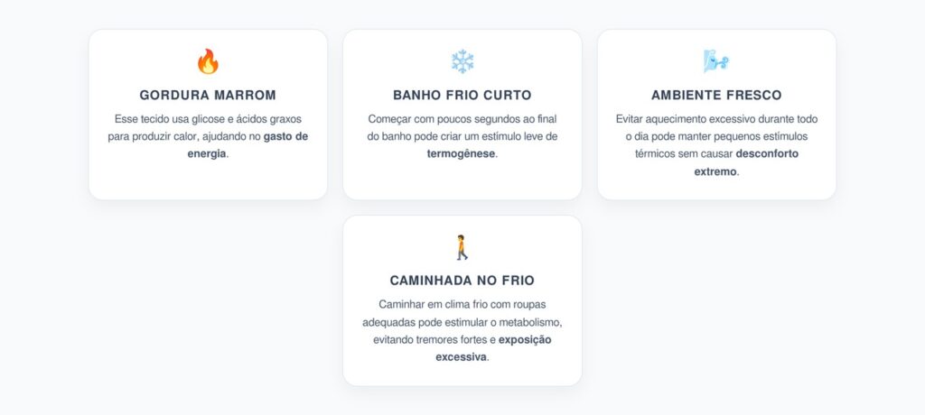 Gordura Marrom: 3 Estímulos Térmicos para Ativar a Queima de Energia