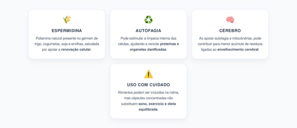 Espermidina e Autofagia: Como o Gérmen de Trigo Apoia a Limpeza Celular do Cérebro