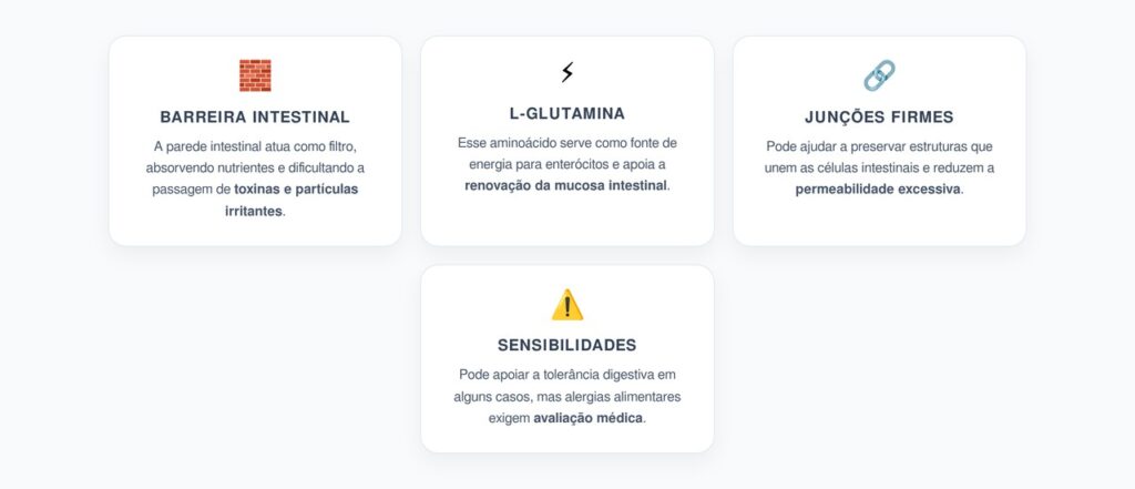 L-Glutamina e Barreira Intestinal: Como Ela Apoia a Parede do Intestino