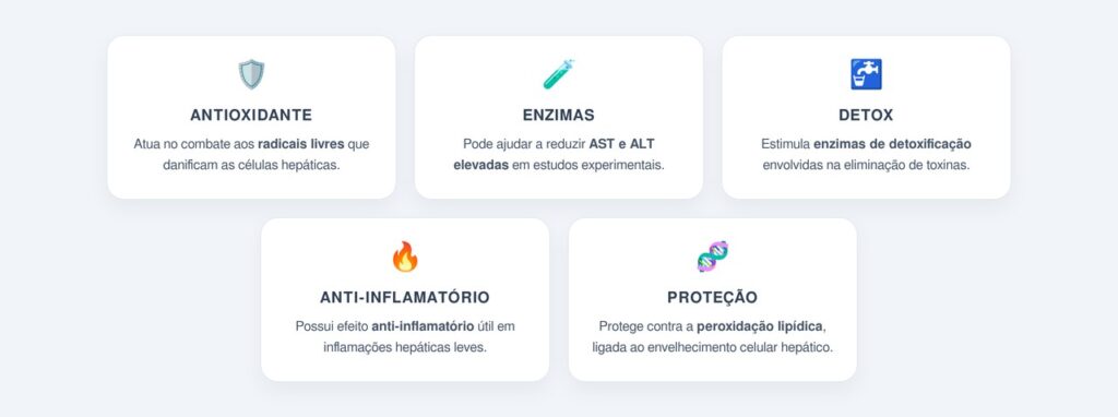 Quais são os benefícios da folha pilosa para a desintoxicação hepática?