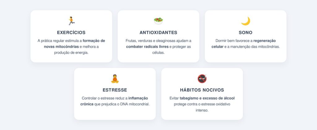 Como preservar a saúde das mitocôndrias no dia a dia?
