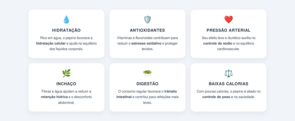 Quais os principais benefícios do pepino cru para o organismo?