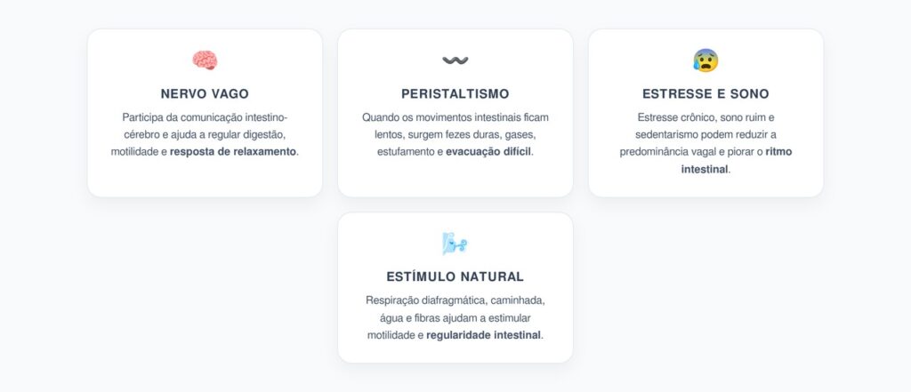 Constipação Crônica: Nervo Vago, Peristaltismo e Intestino Preso