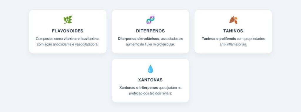 Quais são os compostos ativos responsáveis pela ação diurética?